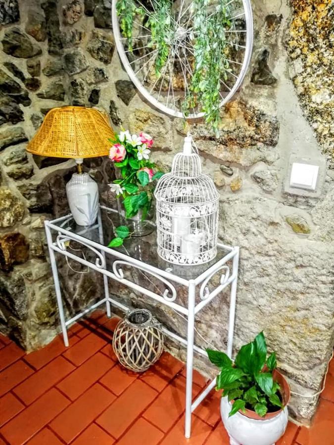 Catraia de Sao Paio Quinta Do Cavaleiro Ao Sol - Um Lugar Ao Sol 게스트하우스 외부 사진