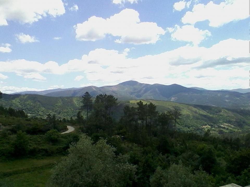 Catraia de Sao Paio Quinta Do Cavaleiro Ao Sol - Um Lugar Ao Sol 게스트하우스 외부 사진